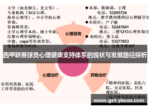 西甲联赛球员心理健康支持体系的现状与发展路径探析