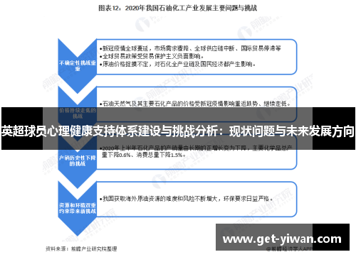 英超球员心理健康支持体系建设与挑战分析：现状问题与未来发展方向