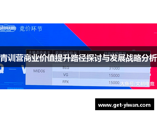 青训营商业价值提升路径探讨与发展战略分析