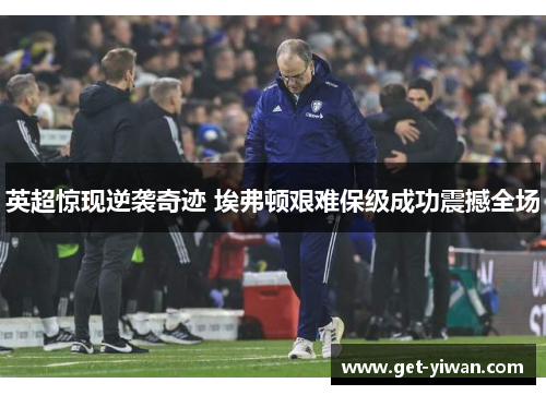 英超惊现逆袭奇迹 埃弗顿艰难保级成功震撼全场